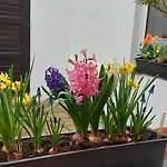 Altes Fischerhaus - An Der Havel *