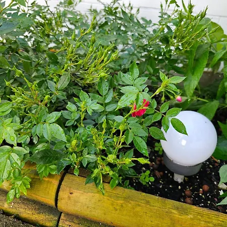 Altes Fischerhaus - An Der Havel Сasa de vacaciones