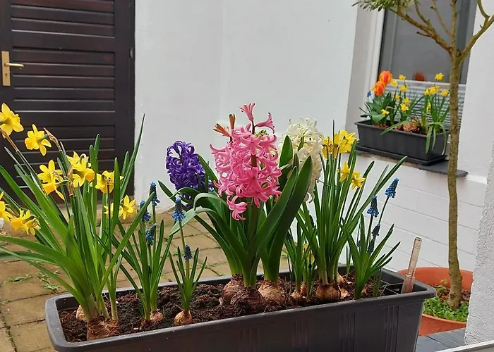 Altes Fischerhaus - An Der Havel *