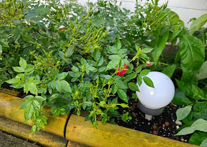 Altes Fischerhaus - An Der Havel Сasa de vacaciones